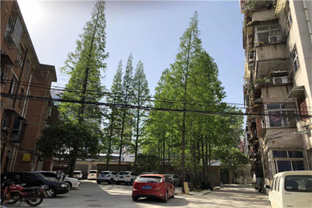 诸城市龙都花园3室2厅1卫118㎡